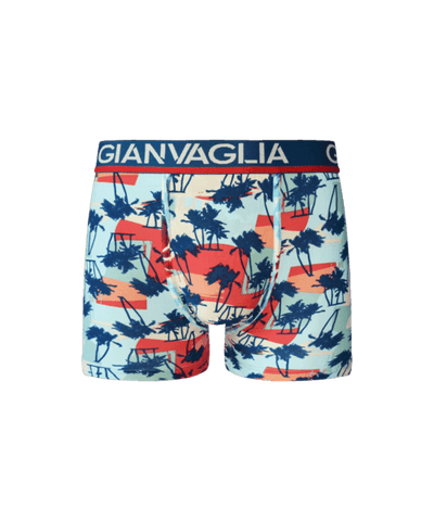 GIANVAGLIA® Deluxe Katoenen Heren Boxershort met print 5-pack GVG-5062